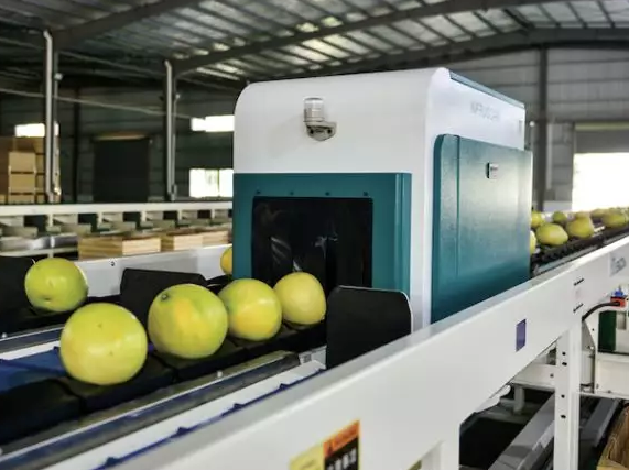 綠萌是柚子分選設備國家高新技術企業，可進行重量、大小、顏色、瑕疵外觀視覺分選，無損檢測糖度，甜度，酸度、空心、浮皮、褐變、果肉損傷、霉心病等內部指標，提供智能全自動蜜柚分選機,蜜柚分選設備,蜜柚選果機,蜜柚選果設備,蜜柚分級機,沙田柚分揀機,柚子大小稱重分選方案和價格