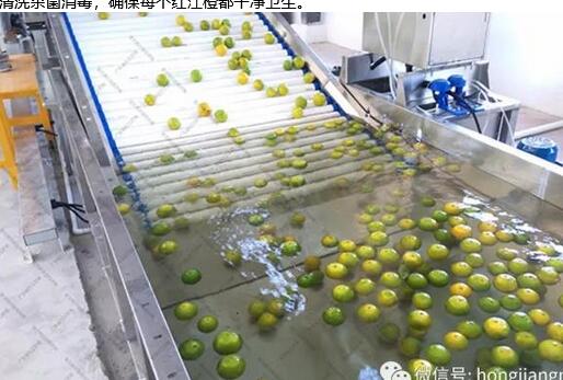 綠萌是紅江橙智能分選設備國家高新技術企業,對紅江橙采后處理提供全套解決方案。綠萌紅江橙分選機可進行大小重量分級、外觀顏色分選、內部品質糖度檢測。提供全自動紅江橙分選設備,紅江橙選果機,智能紅江橙分選機,全自動紅江橙分選機,紅江橙分級機,小型紅江橙分選機，紅江橙分級機,紅江橙稱重分選機,紅江橙重量分選機,紅江橙大小分選機,紅江橙顏色分選機,紅江橙糖度分選機,配套紅江橙清洗機、紅江橙洗果保鮮機、紅江橙包裝機、紅江橙消毒滅菌殺菌機,紅江橙打蠟機。更多紅江橙分選方案報價,小型紅江橙選果設備價格、紅江橙分級機怎么樣、口碑好質量好的紅江橙選果機、了解高性能紅江橙分選機多少錢,咨詢客服免費獲取