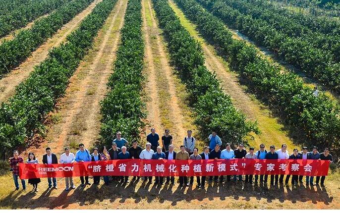 綠萌水果分選設(shè)備可進(jìn)行重量大小分級(jí)、顏色、瑕疵外觀視覺分選，無損檢測(cè)糖度，甜度，酸度、空心、浮皮、褐變、果肉損傷等內(nèi)部指標(biāo)檢測(cè)，提供智能全自動(dòng)臍橙分選機(jī),臍橙分選設(shè)備,臍橙選果機(jī),臍橙選果設(shè)備,臍橙分級(jí)機(jī),臍橙稱重分揀機(jī),臍橙大小直徑選果，臍橙采后分選方案和價(jià)格