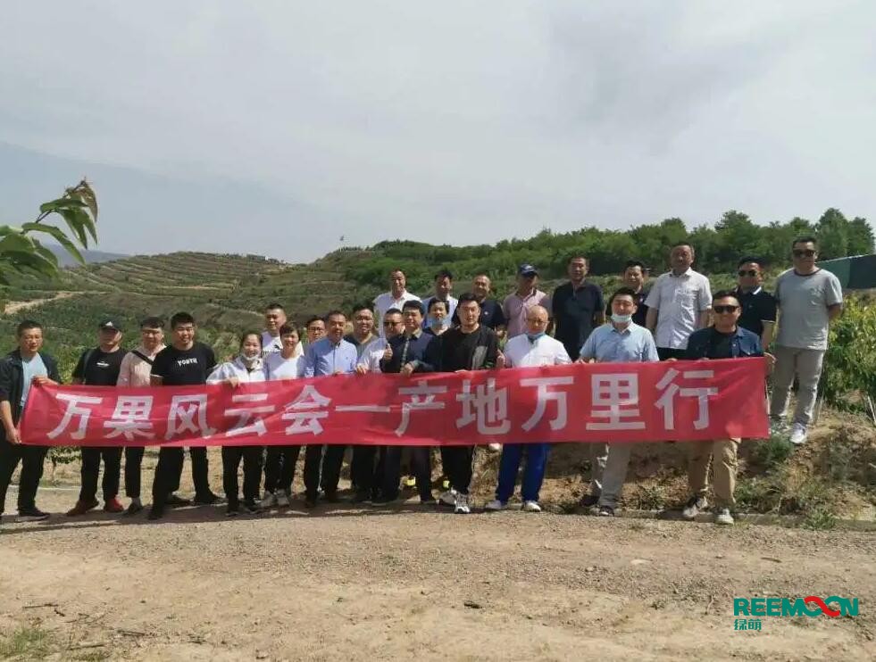 綠萌自動(dòng)化櫻桃分選設(shè)備亮相甘肅天水引起各界廣泛關(guān)注 5月29日，綠萌櫻桃自動(dòng)化分揀生產(chǎn)線在甘