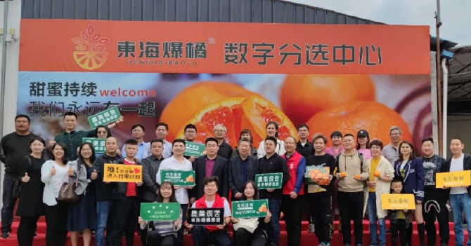 東海爆橘建立綠萌數字分選中心一陣果汁，細膩無渣，這橘子臉皮很薄，脾氣“爆”！每年秋冬季節，市場上各種各樣的橘子層出不窮，有些是黃澄澄的，有些是紅色的，讓人一看就喜歡，每年都買回來。貪心的時候找到一個，手里冰涼。我迫不及待地把它剝下來，迅速放進嘴里。那一刻橙汁從我的喉嚨滑落，整個秋冬的干燥被