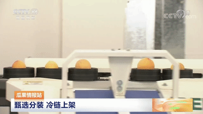 連線采訪＋現場直播7月20日CCTV農業農村頻道、央視頻APP深度報道湖北老河口黃桃產業發展情況綠萌作為果蔬智能科技分選企業憑借AI（人工智能）算法以及光譜技術為老河口黃桃產業賦能而亮相央視在此之前綠萌因為中國果蔬采后標準建設賦能已經多次亮相于央視黃桃作為老河口的“富農果”，身肩重任。全市3.5萬畝黃桃如何打造價格