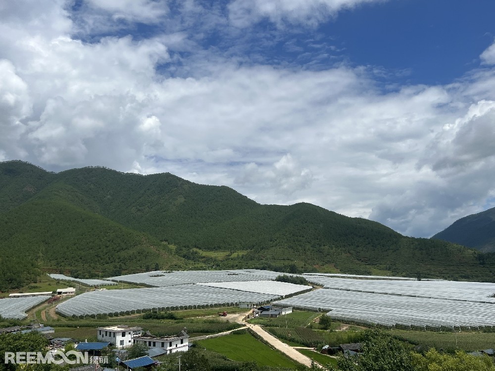 麗江市蘋(píng)果種植主產(chǎn)區(qū)海拔2400-2700米，良好的立體環(huán)境條件造就了麗江蘋(píng)果糖度高、果肉緊密、硬度高、無(wú)污染的品質(zhì)特點(diǎn)。2019年，在全國(guó)種植產(chǎn)區(qū)的甄選中，鑫榮懋選定了云南省麗江市蘋(píng)果優(yōu)勢(shì)產(chǎn)區(qū)作為未來(lái)蘋(píng)果種植項(xiàng)目的實(shí)施地，目前已種植新西蘭引進(jìn)的優(yōu)良蘋(píng)果品種。鑫榮懋以新品種、新技術(shù)及高品質(zhì)為發(fā)展蘋(píng)果種植的新契機(jī)，