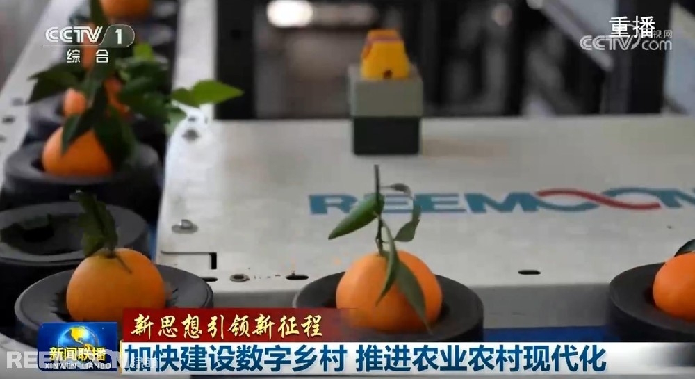又又又上央視了2025開年見喜綠萌在半月之內兩次登上《新聞聯(lián)播》2025年1月1日央視《新聞聯(lián)播》聚焦《甘肅省天水市麥積區(qū)南山花牛蘋果》其中一組畫面中綠萌蘋果雙通道分選線上鏡這條分揀線對蘋果的大小、色澤、瑕疵、糖度、霉心等指標進行精準檢測分級助推花牛蘋果做大做強助力果農增收致富10